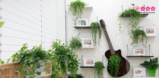 Ngắm trường mầm non ở Vạn Phúc đạt chứng chỉ công trình chuẩn Xanh EDGE