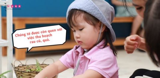 Chăm sóc và nuôi dưỡng tình yêu thiên nhiên trong trẻ