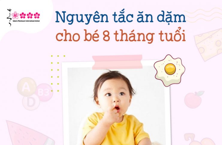 Thực đơn ăn dặm cho bé 8 tháng cha mẹ đang tìm kiếm thực đơn ăn dặm cho bé 8 tháng