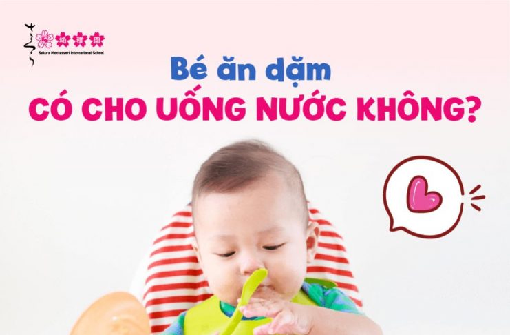 bé ăn dặm có cho uống nước không