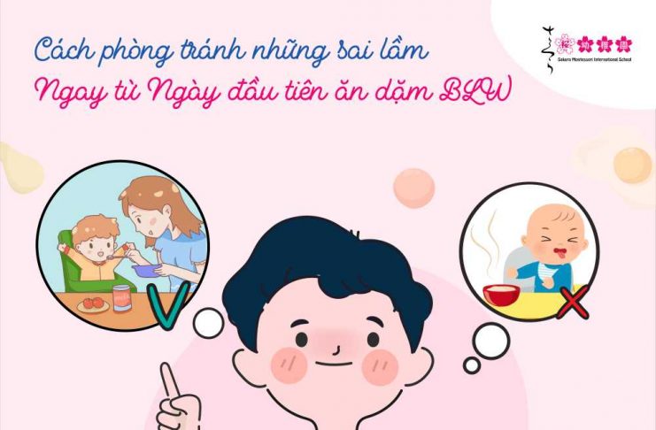 50 thực đơn ngày đầu tiên ăn dặm BLW giải quyết nỗi lo của cha mẹ ngày đầu tiên ăn dặm blw