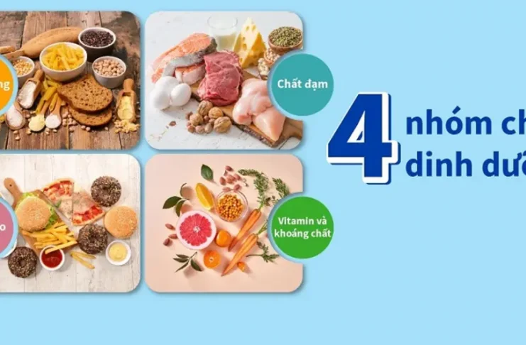 4 nhóm dưỡng chất quan trọng không thể thiếu khi lên thực đơn cho trẻ 2 tuổi 