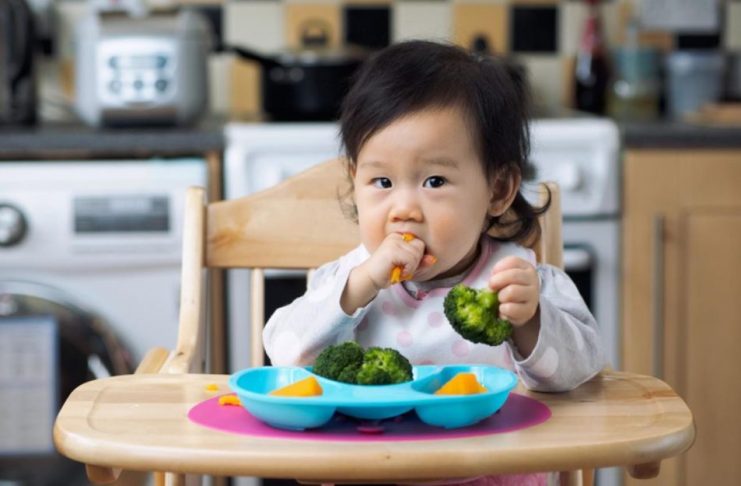 Thực đơn 14 ngày ăn dặm kiểu Nhật cho bé 1 tuổi phát triển toàn diện Ăn dặm kiểu Nhật là gì?