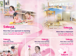Sakura Schools & More…