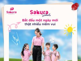 Sakura Schools & more…