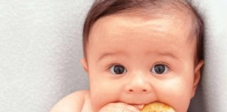 Bánh ăn dặm là công cụ tuyệt vời giúp bé 5 tháng luyện tập kỹ năng cầm nắm và nhai