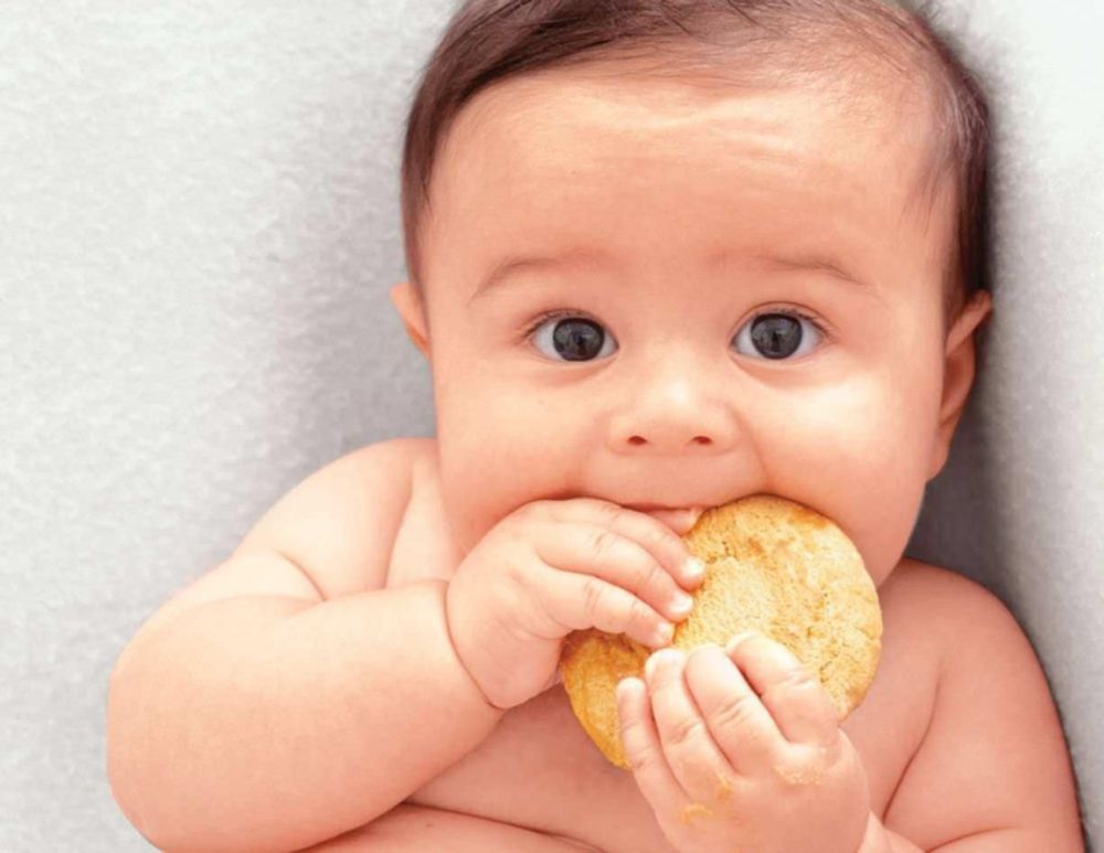 Bánh ăn dặm là công cụ tuyệt vời giúp bé 5 tháng luyện tập kỹ năng cầm nắm và nhai