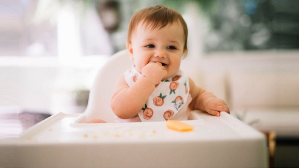 5 Tiêu chí giúp mẹ chọn bánh ăn dặm cho bé 5 tháng chuẩn và an toàn