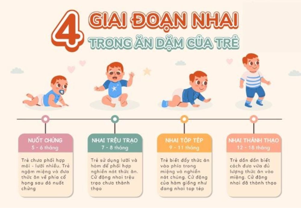 Các giai đoạn ăn dặm cho bé