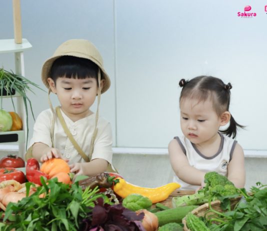 Veggie Kingdom – Khi sân trường trở thành lớp học sống động của những “nhà thám hiểm nhí”