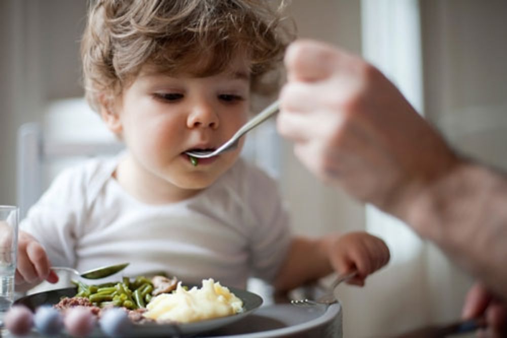 Khẩu phần ăn cân bằng giữa tinh bột, đạm và rau củ