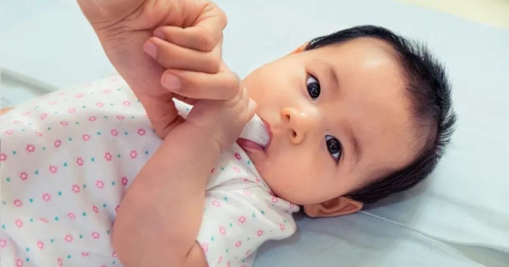 Massage nướu giúp bé giảm khó chịu khi mọc răng và làm quen với việc vệ sinh miệng