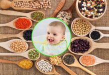 Bột hạt và bơ hạt pha loãng là dạng chế biến an toàn duy nhất cho bé dưới 1 tuổi