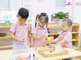 Hoạt động nhóm: Chìa khóa nuôi dưỡng tư duy & kỹ năng hợp tác của trẻ