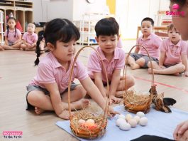 Khám phá hành trình phát triển của quả trứng – Trẻ học khoa học bằng tiếng Anh