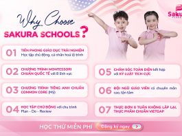 7 lý do khiến 6000+ Phụ huynh tin chọn Sakura Schools?