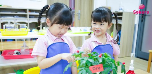 Khi động lực đến từ bên trong: Trẻ làm vì muốn, không phải vì bị nhắc