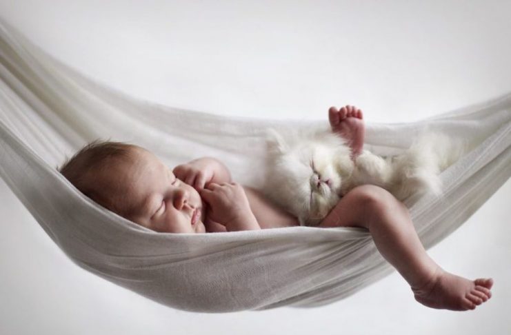 Bé nằm võng ngủ ngon là nhờ cơ chế kích thích tiền đình nhưng dễ bị phụ thuộc (Ảnh: Sưu tầm Internet).