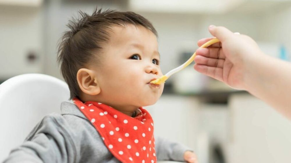 Cho bé ăn bánh flan như thế nào