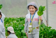 Vui dã ngoại – Học ngàn điều hay