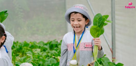 Vui dã ngoại – Học ngàn điều hay