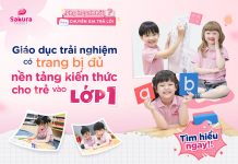 Giáo dục trải nghiệm có trang bị đủ nền tảng kiến thức cho trẻ vào lớp 1?