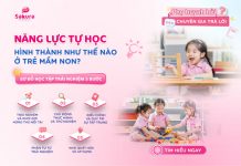 Giáo dục trải nghiệm là gì và vì sao giúp trẻ mầm non hình thành năng lực tự học?